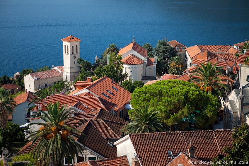 Herceg Novi