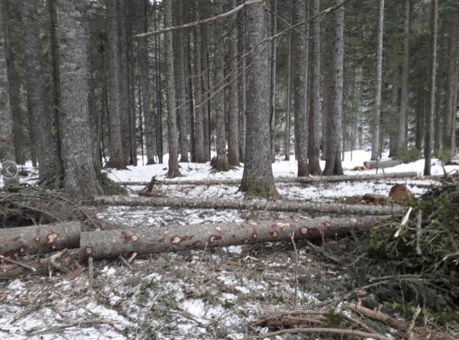 zabljak